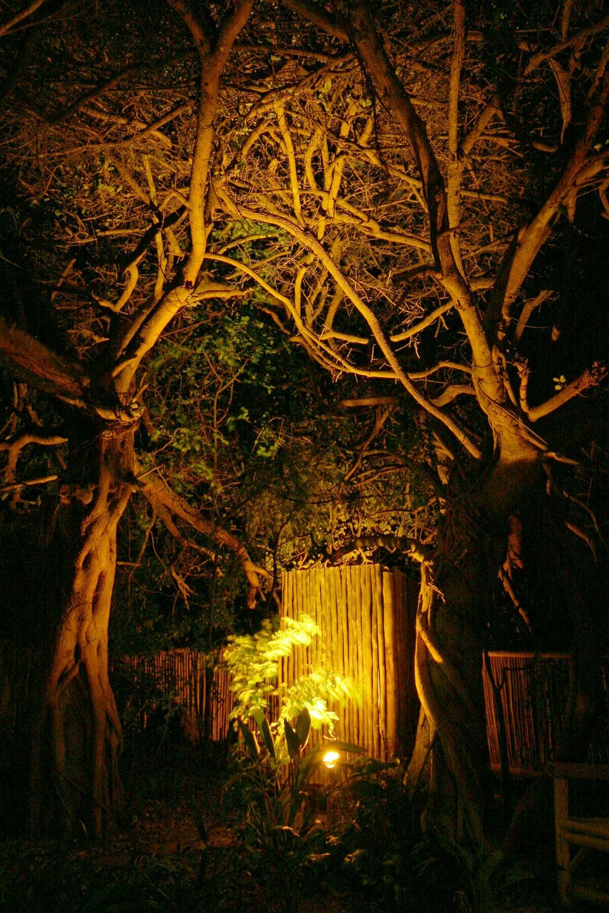 Emdoneni Lodge Hluhluwe Dış mekan fotoğraf